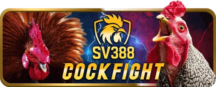 Tham gia cá cược bóng đá và game bài đổi thưởng tại bóng đá 88